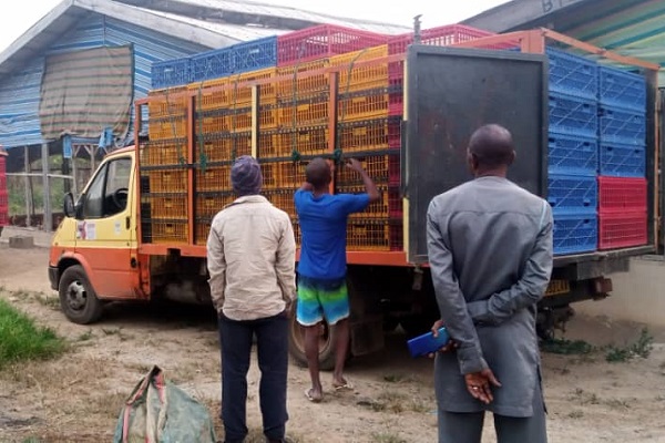 Agric Supplies & Logistics