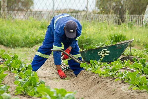 Training & Consulting